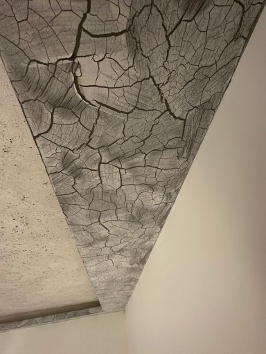 RIVEDIL EXCLUSIVE PAINT